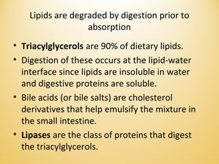 Lipids are degraded by digestion prior to
absorption
• Triacylglycerols are 90% of dietary lipids.
• Digestion of these occurs at the lipid-water
interface since lipids are insoluble in water
and digestive proteins are soluble.
• Bile acids (or bile salts) are cholesterol
derivatives that help emulsify the mixture in
the small intestine.
• Lipases are the class of proteins that digest
the triacylglycerols.
 