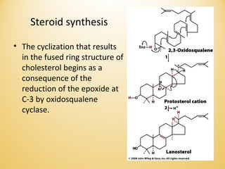 Steroid synthesis
• The cyclization that results
in the fused ring structure of
cholesterol begins as a
consequence of the
reduction of the epoxide at
C-3 by oxidosqualene
cyclase.
 