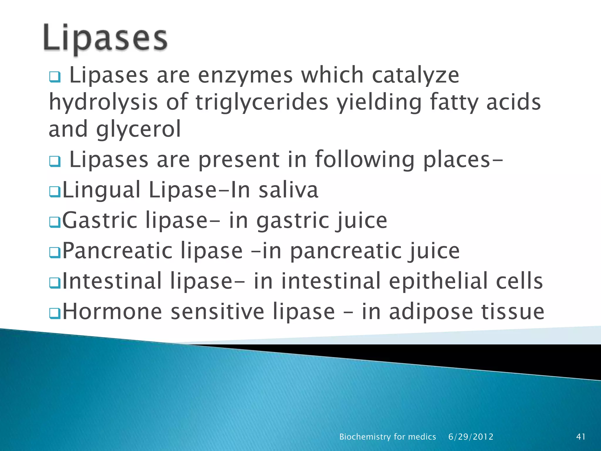 In Which Of The Following Places Is Lipase Not Made