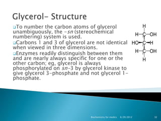 To  number the carbon atoms of glycerol
unambiguously, the -sn (stereochemical
numbering) system is used.
Carbons 1 and 3 of glycerol are not identical
when viewed in three dimensions.
Enzymes readily distinguish between them
and are nearly always specific for one or the
other carbon; eg, glycerol is always
phosphorylated on sn-3 by glycerol kinase to
give glycerol 3-phosphate and not glycerol 1-
phosphate.




                               Biochemistry for medics   6/29/2012   32
 