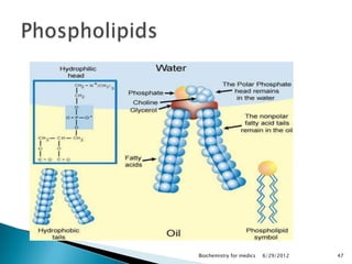 Biochemistry for medics   6/29/2012   47
 