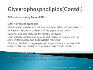 7) Platelet activating factor (PAF)-

Ether glycerophospholipid
Contains an unsaturated alkyl group in an ether link to carbon -1

An acetyl residue at carbon 2 of the glycerol backbone.

Synthesized and released by various cell types

PAF activates inflammatory cells and mediates hypersensitivity,
acute inflammatory and anaphylactic reactions
Causes platelets to aggregate and degranulate and neutrophils
and alveolar macrophages to generate superoxide radicals

8) Phosphatidyl Glycerol-
Formed by esterification of phosphatidic acid with glycerol

Diphosphatidyl glycerol, cardiolipin is found in the mitochondrial
membrane

                                       Biochemistry for medics   6/29/2012   54
 