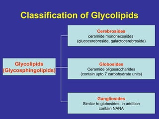 Globoside Lipid chemistry, structure and functions-1(31-08-2013).ppt