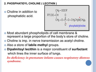 2. PHOSPHATIDYL CHOLINE ( LECITHIN )
 Choline in addition to
phosphatidic acid.
 Most abundant phospholipids of cell membrane &
represent a large proportion of the body’s store of choline.
 Choline is imp. in nerve transmission as acetyl choline.
 Also a store of labile methyl groups.
 Dipalmitoyl lecithin is a major constituent of surfactant
which lines the inner surface of lungs.
Its deficiency in premature infants causes respiratory distress
syndrome.
 