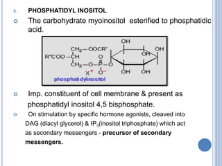 5. PHOSPHATIDYL INOSITOL
 The carbohydrate myoinositol esterified to phosphatidic
acid.
 Imp. constituent of cell membrane & present as
phosphatidyl inositol 4,5 bisphosphate.
 On stimulation by specific hormone agonists, cleaved into
DAG (diacyl glycerol) & IP3(inositol triphosphate) which act
as secondary messengers - precursor of secondary
messengers.
 