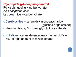 Glycolipids (glycosphingolipids)
FA + sphingosine + carbohydrate
No phosphoric acid !
i.e., ceramide + carbohydrate
 Cerebrosides – ceramide+ monosaccharide
(glucose or galactose)
 Nervous tissue, Complex glycolipids synthesis
 Sulfatides- ceramide+monosaccharide+Sulfate
 Found high amount in myelin sheath
 