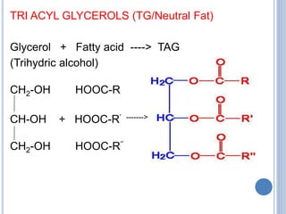 TRI ACYL GLYCEROLS (TG/Neutral Fat)
Glycerol + Fatty acid ----> TAG
(Trihydric alcohol)
CH2-OH HOOC-R
CH-OH + HOOC-R’ ------->
CH2-OH HOOC-R’’
 
