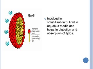  Involved in
solubilisation of lipid in
aqueous media and
helps in digestion and
absorption of lipids.
 