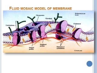 Lipid chemistry