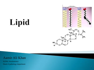 Aamir Ali Khan
M.Phil. biochemistry
Head of pathology department
1
 