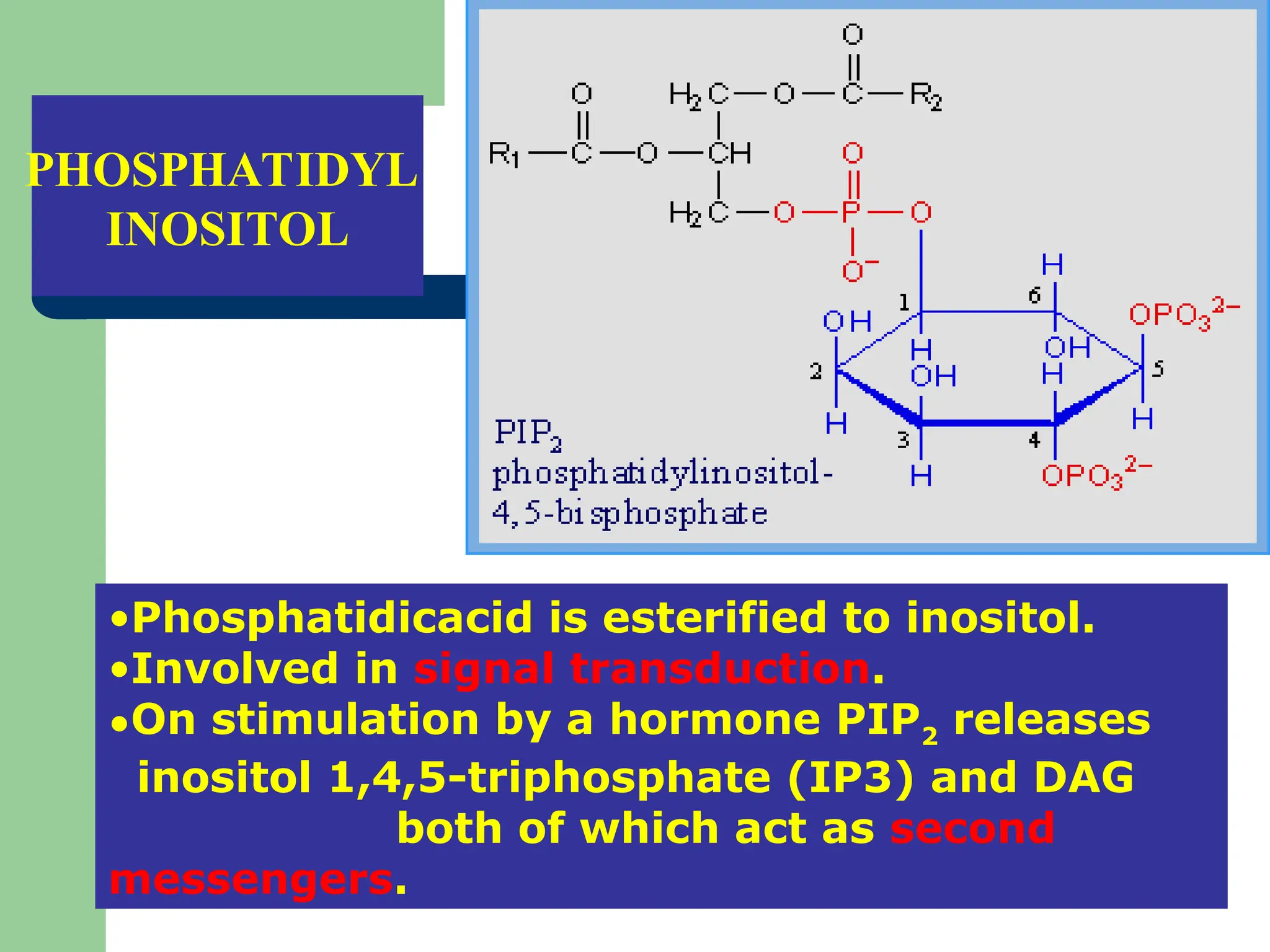 Pip2 Inositol Lipid Chemistry with classification of lipids.ppt