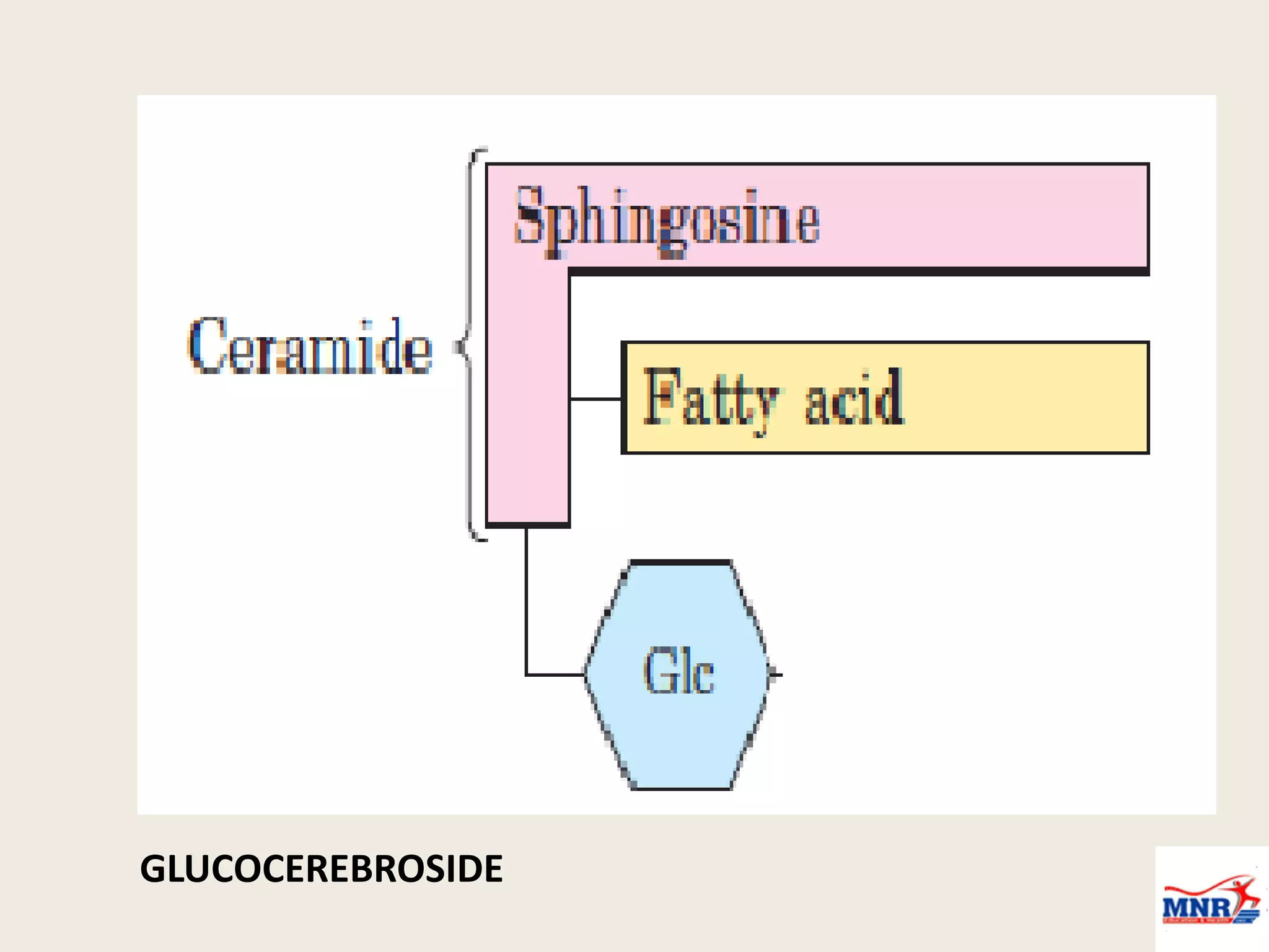 GLUCOCEREBROSIDE
 