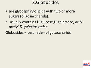 Globoside Lipid Chemistry by Dr Anurag Yadav | PDF