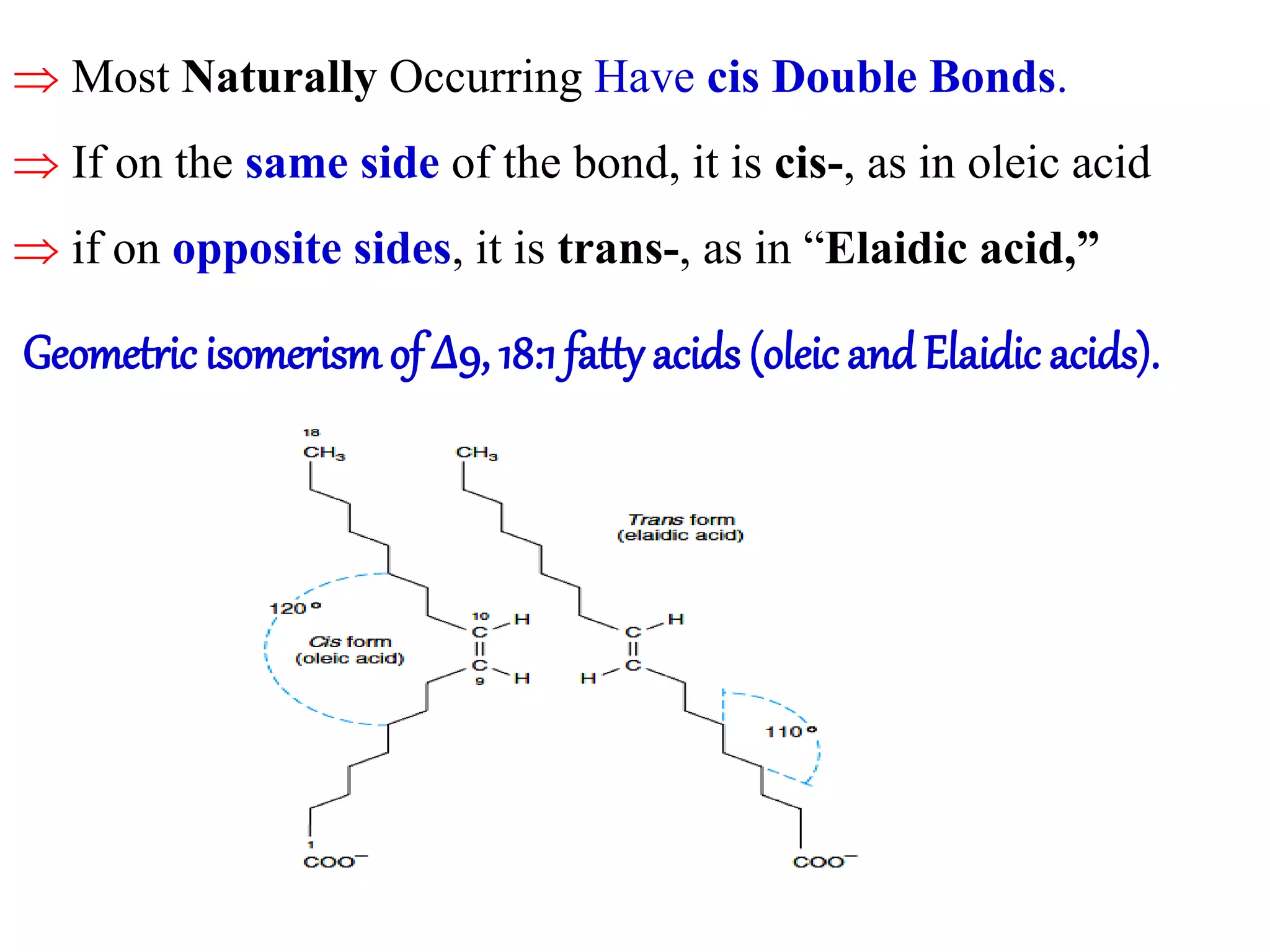 lipid digestion MD(1).pptx