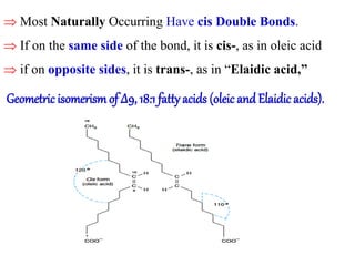  Most Naturally Occurring Have cis Double Bonds.
 If on the same side of the bond, it is cis-, as in oleic acid
 if on opposite sides, it is trans-, as in “Elaidic acid,”
Geometric isomerismof Δ9, 18:1 fatty acids (oleic and Elaidic acids).
 