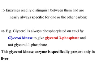  Enzymes readily distinguish between them and are
nearly always specific for one or the other carbon;
 E.g. Glycerol is always phosphorylated on sn-3 by
Glycerol kinase to give glycerol 3-phosphate and
not glycerol-1-phosphate .
This glycerol kinase enzyme is specifically present only in
liver
 