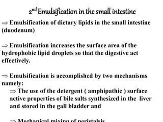 2nd Emulsification in the small intestine
 Emulsification of dietary lipids in the small intestine
(duodenum)
 Emulsification increases the surface area of the
hydrophobic lipid droplets so that the digestive act
effectively.
 Emulsification is accomplished by two mechanisms
namely:
 The use of the detergent ( amphipathic ) surface
active properties of bile salts synthesized in the liver
and stored in the gall bladder and
 
