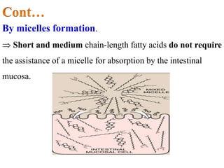 By micelles formation.
 Short and medium chain-length fatty acids do not require
the assistance of a micelle for absorption by the intestinal
mucosa.
 