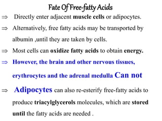  Directly enter adjacent muscle cells or adipocytes.
 Alternatively, free fatty acids may be transported by
albumin ,until they are taken by cells.
 Most cells can oxidize fatty acids to obtain energy.
 However, the brain and other nervous tissues,
erythrocytes and the adrenal medulla Can not
 Adipocytes can also re-esterify free-fatty acids to
produce triacylglycerols molecules, which are stored
until the fatty acids are needed .
Fate Of Free-fatty Acids
 