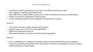 lipid droplet.pptx