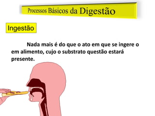 Ingestão
Nada mais é do que o ato em que se ingere o
em alimento, cujo o substrato questão estará
presente.
 