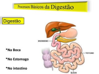 Digestão
*Na Boca
*No Estomago
*No intestino
 