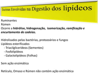 Ruminantes
Rúmen
Ocorre a hidrólise, hidrogenação, isomerização, ramificação e
encurtamento de cadeias.
Hidrolisados pelas bactérias, protozoários e fungos
Lipídeos esterificados
- Triacilglicerídeos (Sementes)
- Fosfolipídeos
- Galactolipídeos (Folhas)
Sem ação enzimática
Retículo, Omaso e Rúmen não contém ação enzimática
 