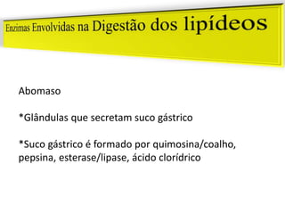 Abomaso
*Glândulas que secretam suco gástrico
*Suco gástrico é formado por quimosina/coalho,
pepsina, esterase/lipase, ácido clorídrico
 