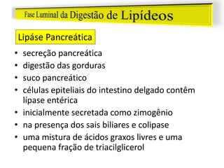 • secreção pancreática
• digestão das gorduras
• suco pancreático
• células epiteliais do intestino delgado contêm
lípase entérica
• inicialmente secretada como zimogênio
• na presença dos sais biliares e colipase
• uma mistura de ácidos graxos livres e uma
pequena fração de triacilglicerol
Lipáse Pancreática
 