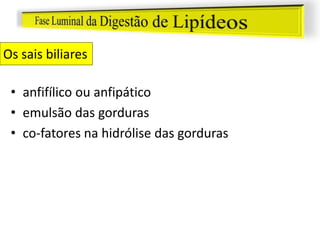 Os sais biliares
• anfifílico ou anfipático
• emulsão das gorduras
• co-fatores na hidrólise das gorduras
 