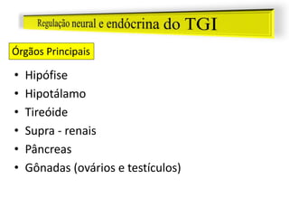 • Hipófise
• Hipotálamo
• Tireóide
• Supra - renais
• Pâncreas
• Gônadas (ovários e testículos)
Órgãos Principais
 