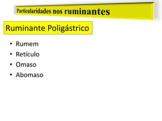 Ruminante Poligástrico
• Rumem
• Retículo
• Omaso
• Abomaso
 