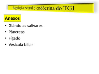 • Glândulas salivares
• Pâncreas
• Fígado
• Vesícula biliar
Anexos
 