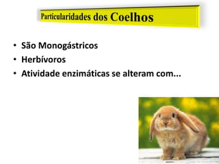 • São Monogástricos
• Herbívoros
• Atividade enzimáticas se alteram com...
 