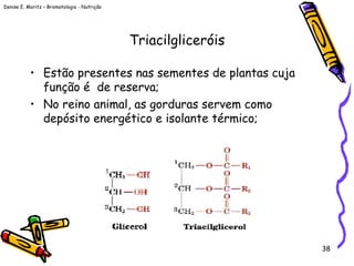 Denise E. Moritz – Bromatologia - Nutrição
38
Triacilgliceróis
• Estão presentes nas sementes de plantas cuja
função é de reserva;
• No reino animal, as gorduras servem como
depósito energético e isolante térmico;
 