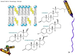 Denise E. Moritz – Bromatologia - Nutrição
54
 