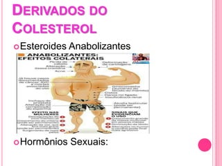 DERIVADOS DO
COLESTEROL
Esteroides Anabolizantes
Hormônios Sexuais:
 