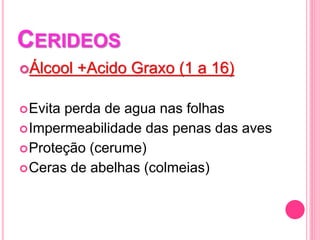 CERIDEOS
Álcool +Acido Graxo (1 a 16)
Evita perda de agua nas folhas
Impermeabilidade das penas das aves
Proteção (cerume)
Ceras de abelhas (colmeias)
 