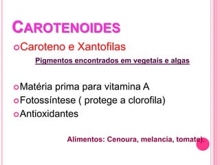 CAROTENOIDES
Caroteno e Xantofilas
Pigmentos encontrados em vegetais e algas
Matéria prima para vitamina A
Fotossíntese ( protege a clorofila)
Antioxidantes
Alimentos: Cenoura, melancia, tomate).
 