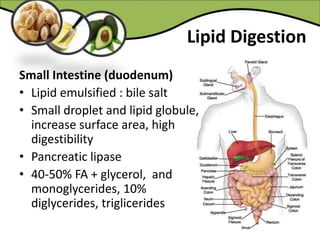 Lipid Digestion
Small Intestine (duodenum)
• Lipid emulsified : bile salt
• Small droplet and lipid globule,
increase surface area, high
digestibility
• Pancreatic lipase
• 40-50% FA + glycerol, and
monoglycerides, 10%
diglycerides, triglicerides
 