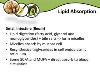 Lipid Absorption
Small Intestine (Ileum)
• Lipid digestion (fatty acid, glycerol and
monoglycerides) + bile salts -> form micelles
• Micelles absorb by mucosa cell
• Resynthesize triglycerides in cell endoplasmic
reticulum
• Some SCFA and MUFA – direct absorb to blood
circulation
 