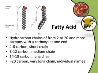• Hydrocarbon chains of from 2 to 20 and more
carbons with a carboxyl at one end
• 4-6 carbon, short chain
• 8-12 carbon, medium chain
• 14-18 carbon, long chain
• >20 carbon, very long chain, individual names
 