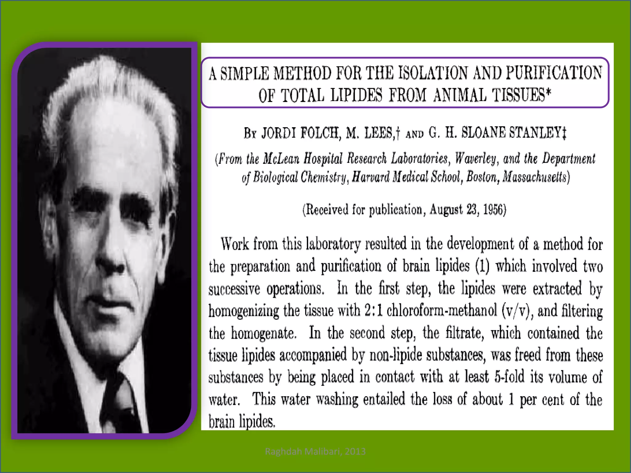 Raghdah Malibari, 2013

 