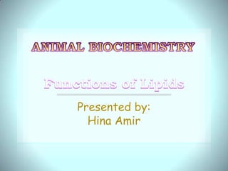 Presented by:
Hina Amir
 