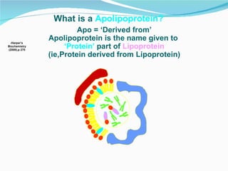 What is a  Apolipoprotein? -Harper’s  Biochemistry (2000),p 270 Apo = ‘Derived from’ Apolipoprotein is the name given to  ‘ Protein’   part of  Lipoprotein (ie,Protein derived from Lipoprotein) 