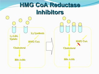 HMG CoA Reductase Inhibitors 1.) LDL  Uptake Cholesterol 2.) Synthesis HMG CoA Bile Acids Cholesterol HMG CoA Bile Acids 
