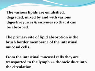 The various lipids are emulsified, degraded, mixed by and with various digestive juices & enzymes so that it can be absorbed. The primary site of lipid absorption is the brush border membrane of the intestinal mucosal cells. From the intestinal mucosal cells they are transported to the lymph >> thoracic duct into the circulation. 