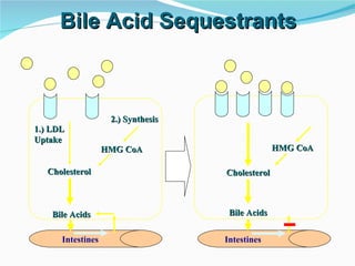 Bile Acid Sequestrants 1.) LDL  Uptake Cholesterol 2.) Synthesis HMG CoA Bile Acids Cholesterol HMG CoA Bile Acids Intestines Intestines 
