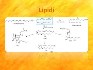 Lipidi
 