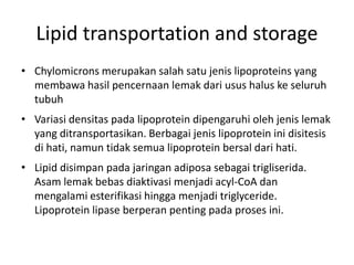 Lipid transportation and storage
• Chylomicrons merupakan salah satu jenis lipoproteins yang
membawa hasil pencernaan lemak dari usus halus ke seluruh
tubuh
• Variasi densitas pada lipoprotein dipengaruhi oleh jenis lemak
yang ditransportasikan. Berbagai jenis lipoprotein ini disitesis
di hati, namun tidak semua lipoprotein bersal dari hati.
• Lipid disimpan pada jaringan adiposa sebagai trigliserida.
Asam lemak bebas diaktivasi menjadi acyl-CoA dan
mengalami esterifikasi hingga menjadi triglyceride.
Lipoprotein lipase berperan penting pada proses ini.
 
